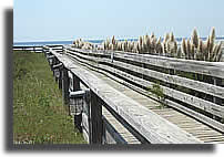 Bridge to the Beach